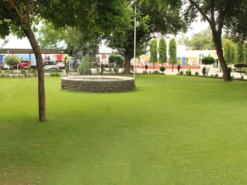 Resort Lawn